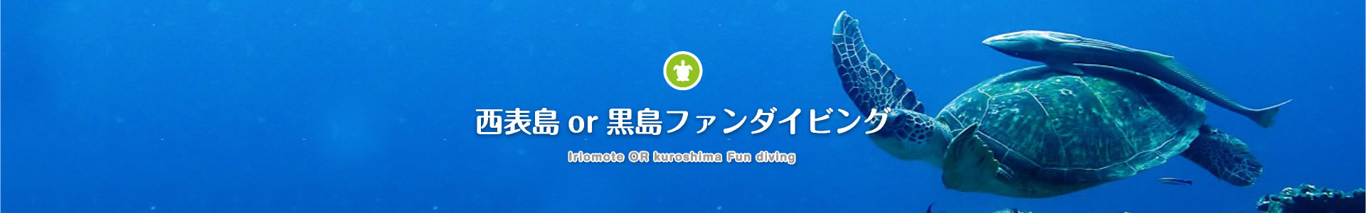 西表島or黒島ファンダイビング Iriomote OR kuroshima Fun diving